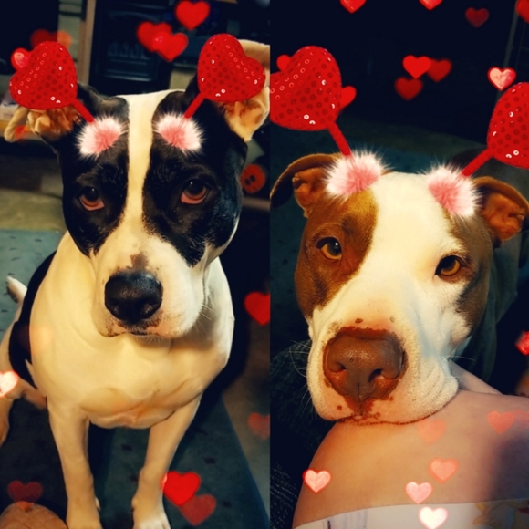 Meet your Posher, Amanda - Picture 1 of 1